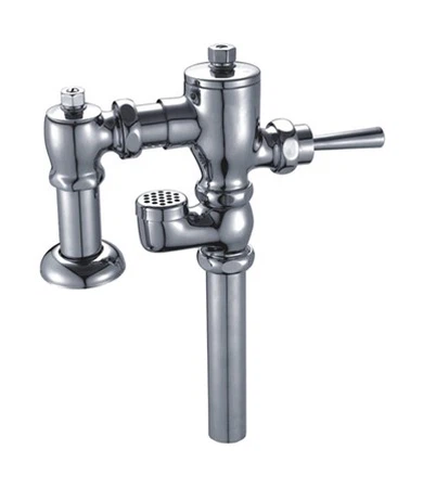 Con quale frequenza dovrei sostituire la valvola di scarico manuale del WC?